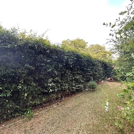 Garden Appartement